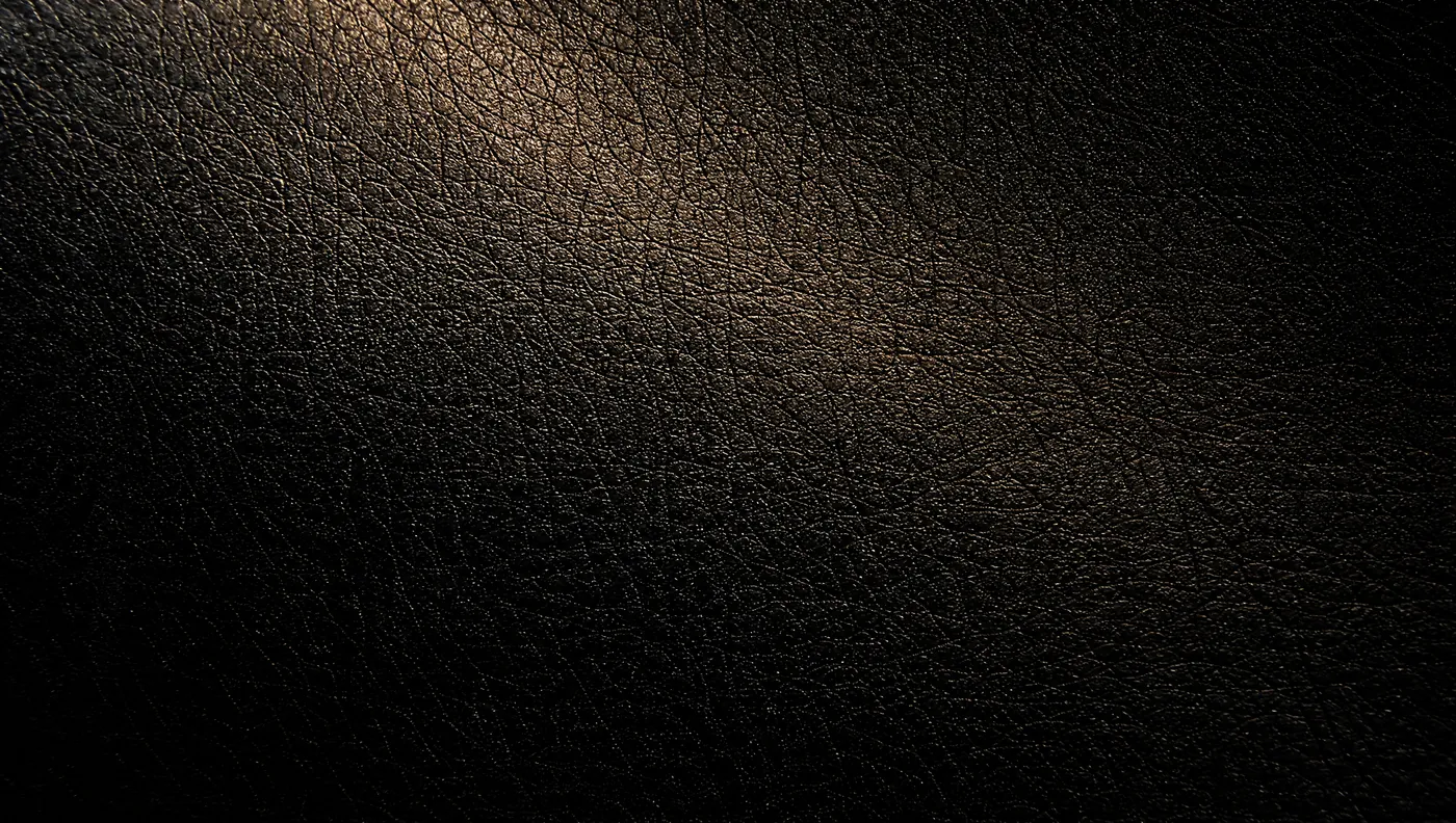 Black leather after conditioning